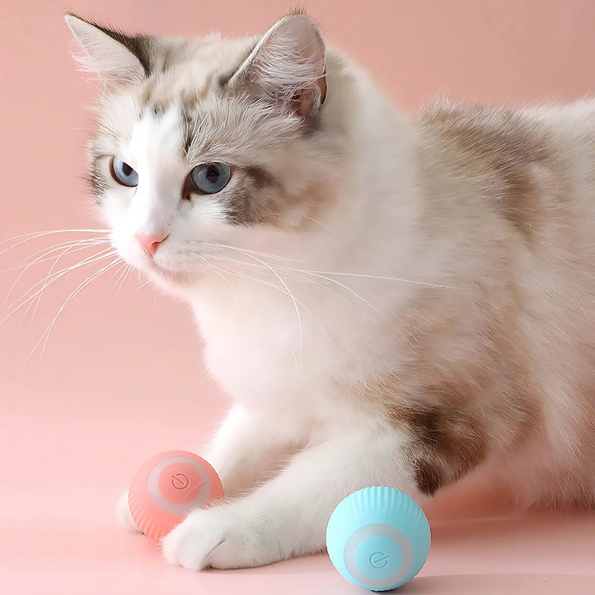 Pelota Inteligente para Mascotas 😻 con envío gratis🎁