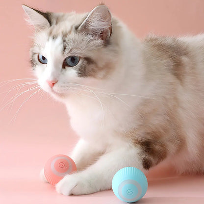 Pelota Inteligente para Mascotas 😻 con envío gratis🎁