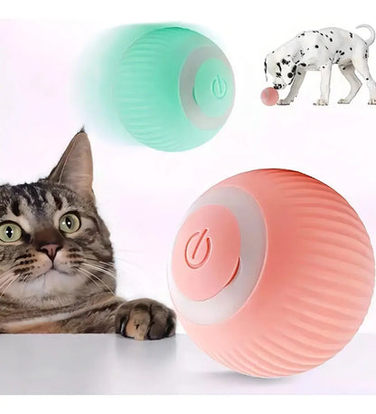 Pelota Inteligente para Mascotas 😻 con envío gratis🎁
